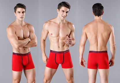 4pcs Cotton Boxers For Man Underwear Slip High Quality Men's Panties Sexy Homme Underpants Boxer Shorts calecon Trunks