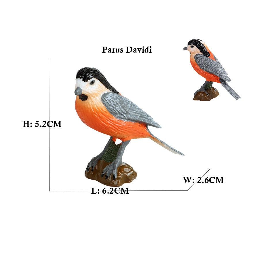 Coruja Flamingo Peru Tucano Seahawk Modelo Animais Estatuetas Plástico Pássaro Brinquedo Boneco de Ação Aventuras na Selva Presentes para Crianças Zoológico da Floresta