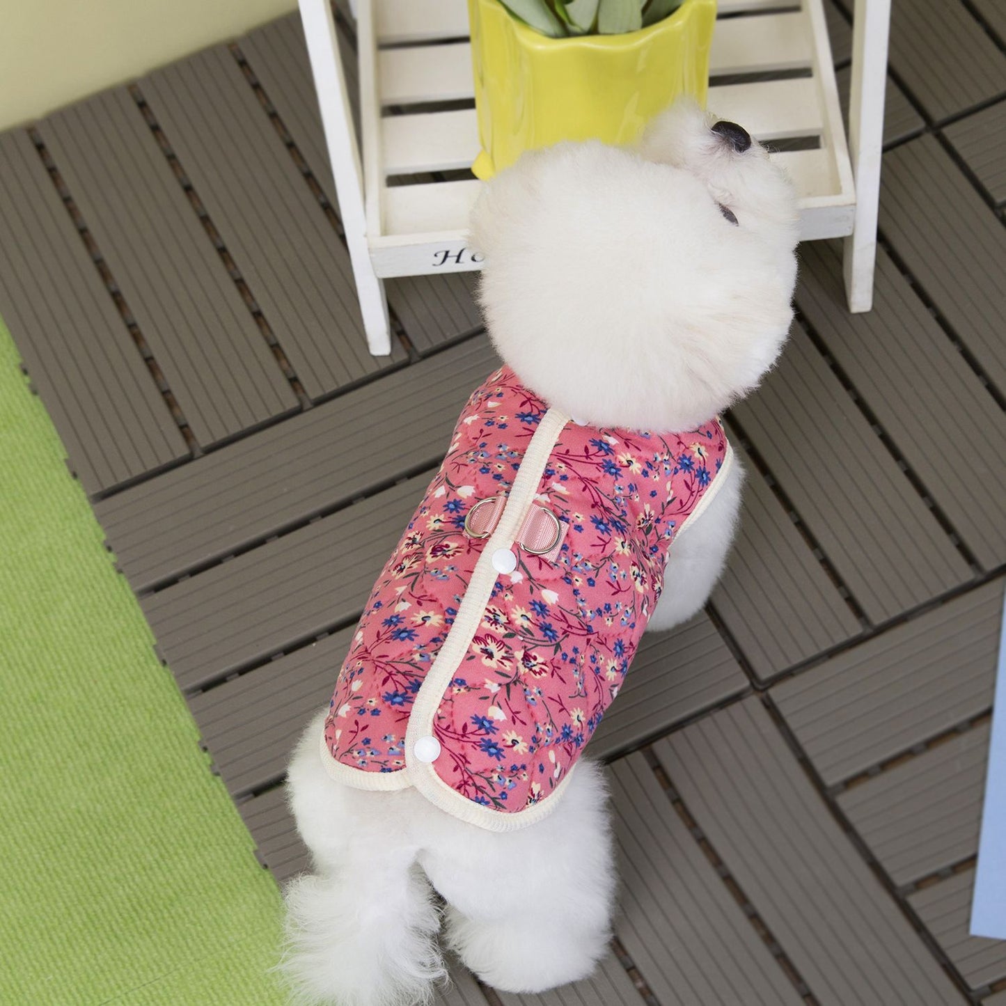S-2XL Colete de Lã para Cães Outono Inverno Rosa/Azul Estampado Floral Colete Quente Roupa para Cães e Gatos Pequenos e Médios