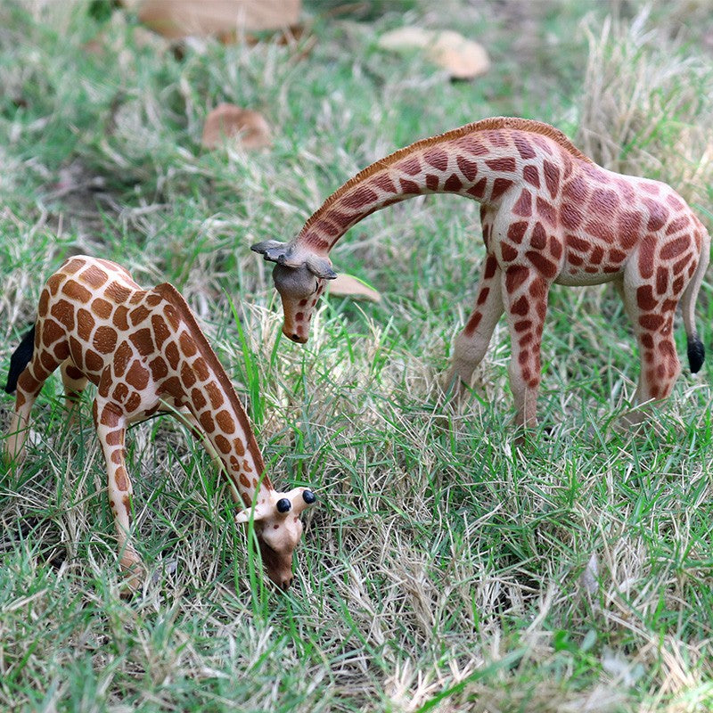 Oenux Zoo África Animais Selvagens Girafa Simulação Modelo Bonecos de Ação PVC Brinquedo Educacional Fofo para Crianças