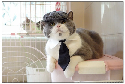 Chapéu Engraçado Para Gatos de Estimação, Boina, Gravata Borboleta, Fantasia de Banho, Gângster Bonito, Adereço de Foto, Fantasia de Halloween Para Animais de Estimação