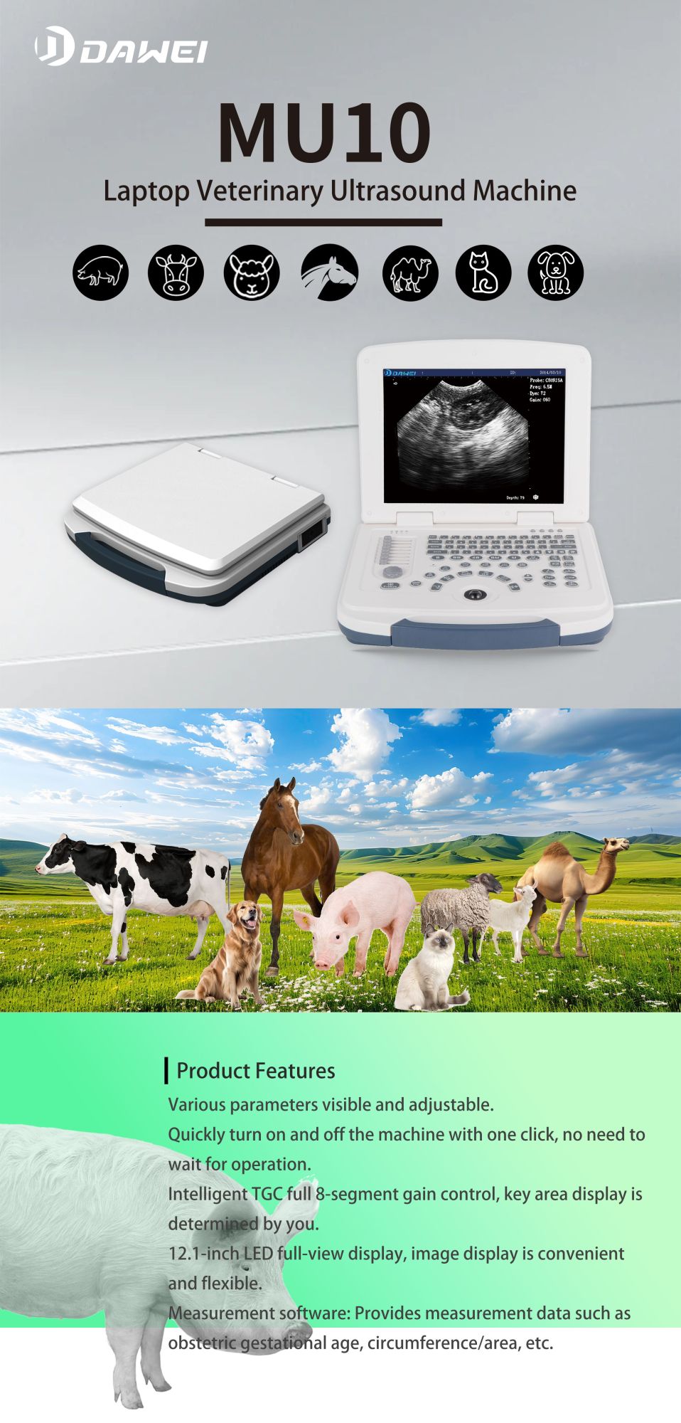 Máquina de Ultrassom Veterinário Portátil com Sondas (B, BB, 4B, B+M, M) para Hospital Veterinário, Casa, Fazenda