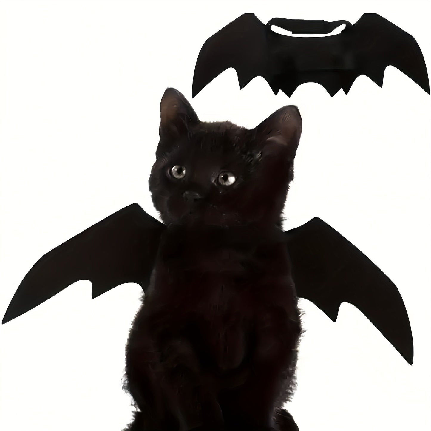 Asas de Morcego Pretas Ajustáveis, Fantasia de Halloween para Pets em Poliéster Macio, Perfeito para Gatos, Ideal para Brincadeiras de Interpretação e Diversão à Fantasia