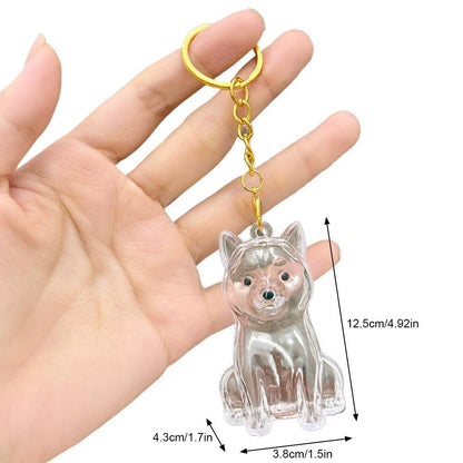 Dog Hair Collection Pendant Hair Storage Box Charm Pet Cute Keychains Clear Plastic Pet Hair Capsule Souvenirs DIY Gifts