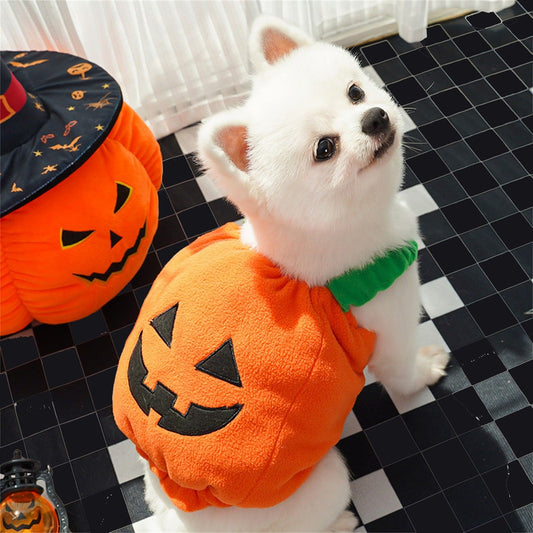 Fantasia de Abóbora Engraçada para Cães no Halloween, Lanterna, Traje de Transformação, Duas Pernas, Animal de Estimação, Chapéu Fofo de Abóbora, Jaqueta para Cães e Gatos
