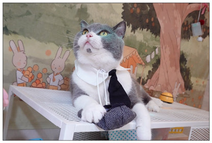 Chapéu Engraçado Para Gatos de Estimação, Boina, Gravata Borboleta, Fantasia de Banho, Gângster Bonito, Adereço de Foto, Fantasia de Halloween Para Animais de Estimação