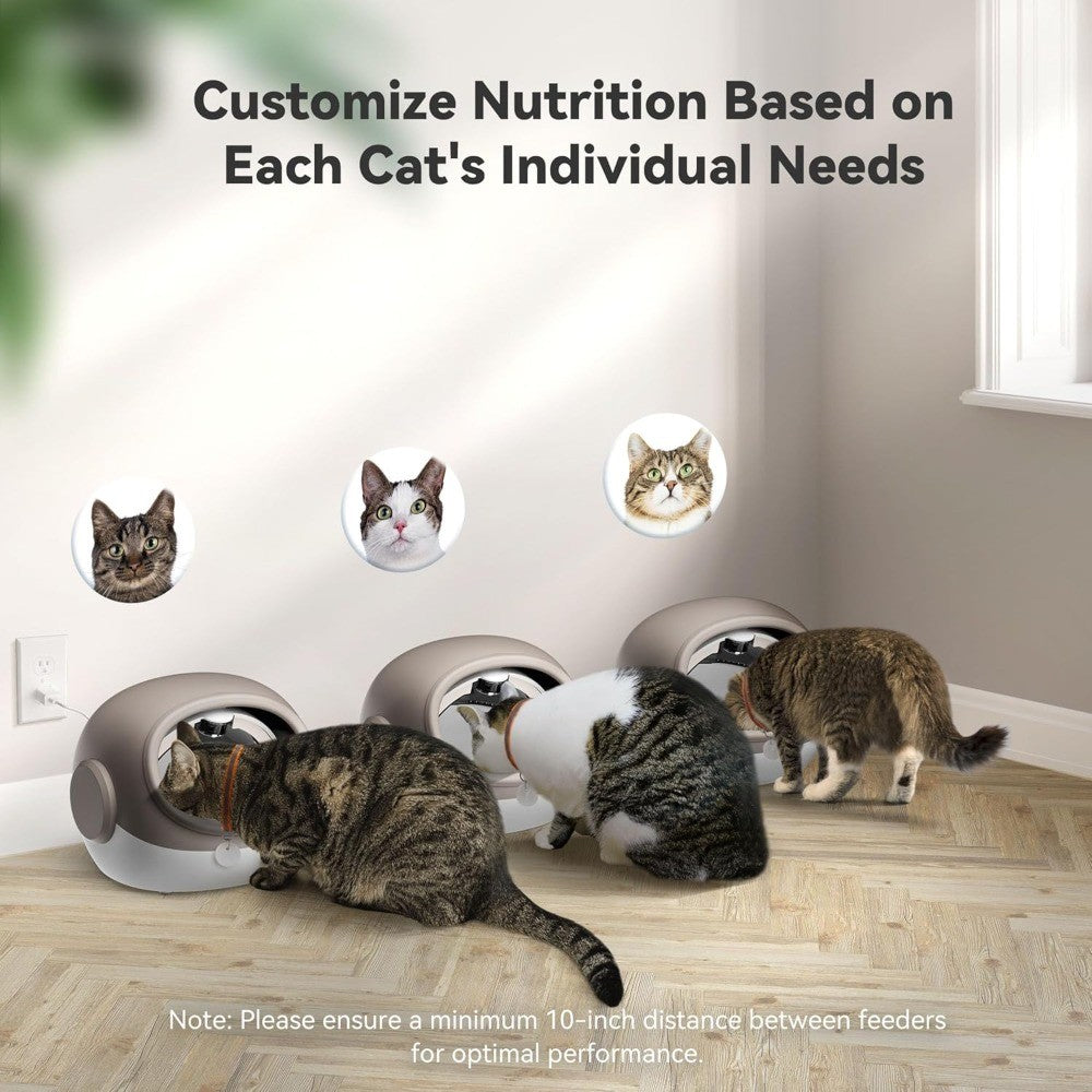 Comedouro RFID para Gatos Aprimorado com Sensor de Coleira – 4 Modos de Alimentação, Comedouro Antifurto para Vários Gatos, Coleira Temporizada