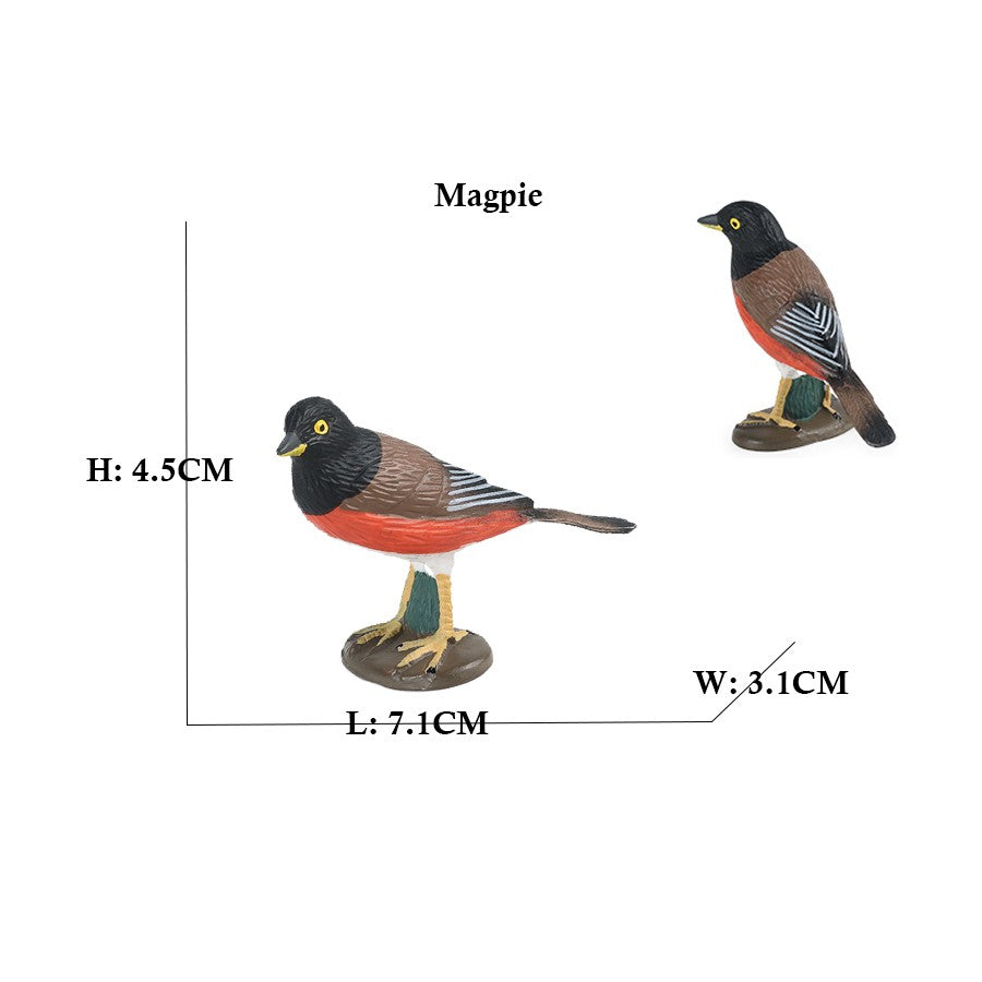 Coruja Flamingo Peru Tucano Seahawk Modelo Animais Estatuetas Plástico Pássaro Brinquedo Boneco de Ação Aventuras na Selva Presentes para Crianças Zoológico da Floresta