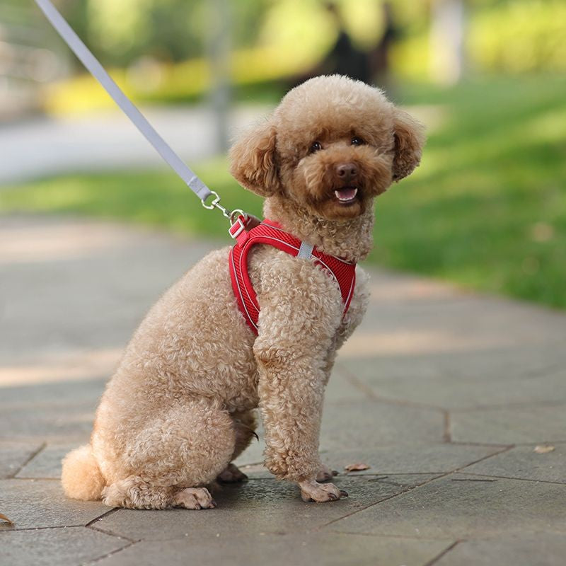 Conjunto de Coleira e Peitoral para Cães Pequenos Ajustável Peitoral Colete para Cães e Gatos Filhotes Bulldog Francês Chihuahua Pug Caminhada ao Ar Livre Guia Coleira