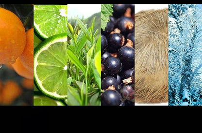 High Quality Perfumes Luxury Brand Unisex Perfume Spray 100ML Women Floral Scent Eau De Parfum Men Cologne Lasting Fragrance