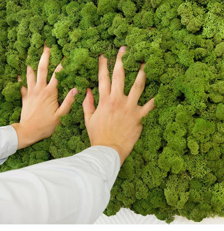 200/1000g Quality Artificial Green Plant Eternal Life Moss Fake Flower Moss Grass Home Living Decorative Wall DIY Micro Landscap