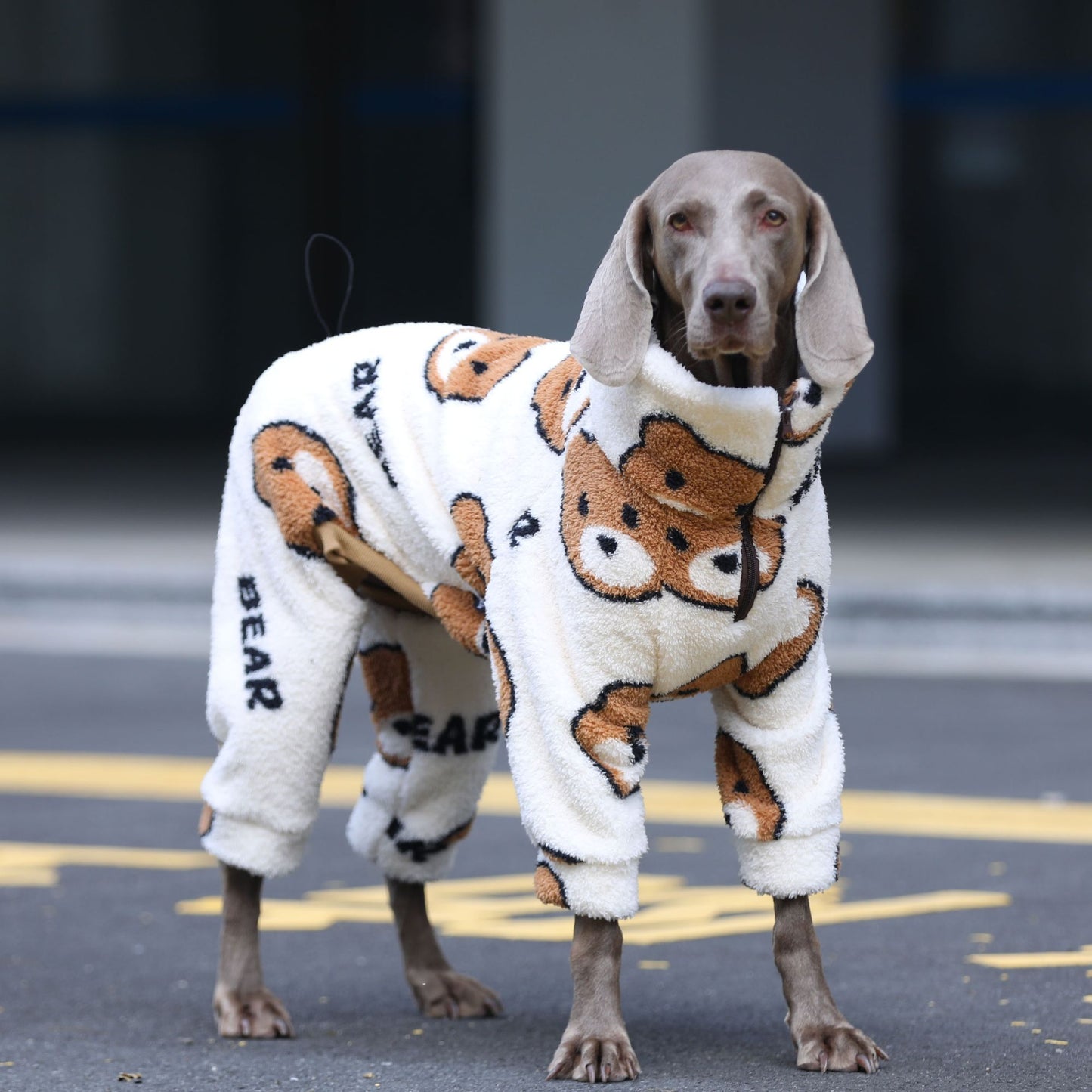 Macacão de 4 patas para cachorros grandes, pijama quente de inverno para raças grandes, suéter macio com estampa de urso, moletom de lã para Husky Labrador