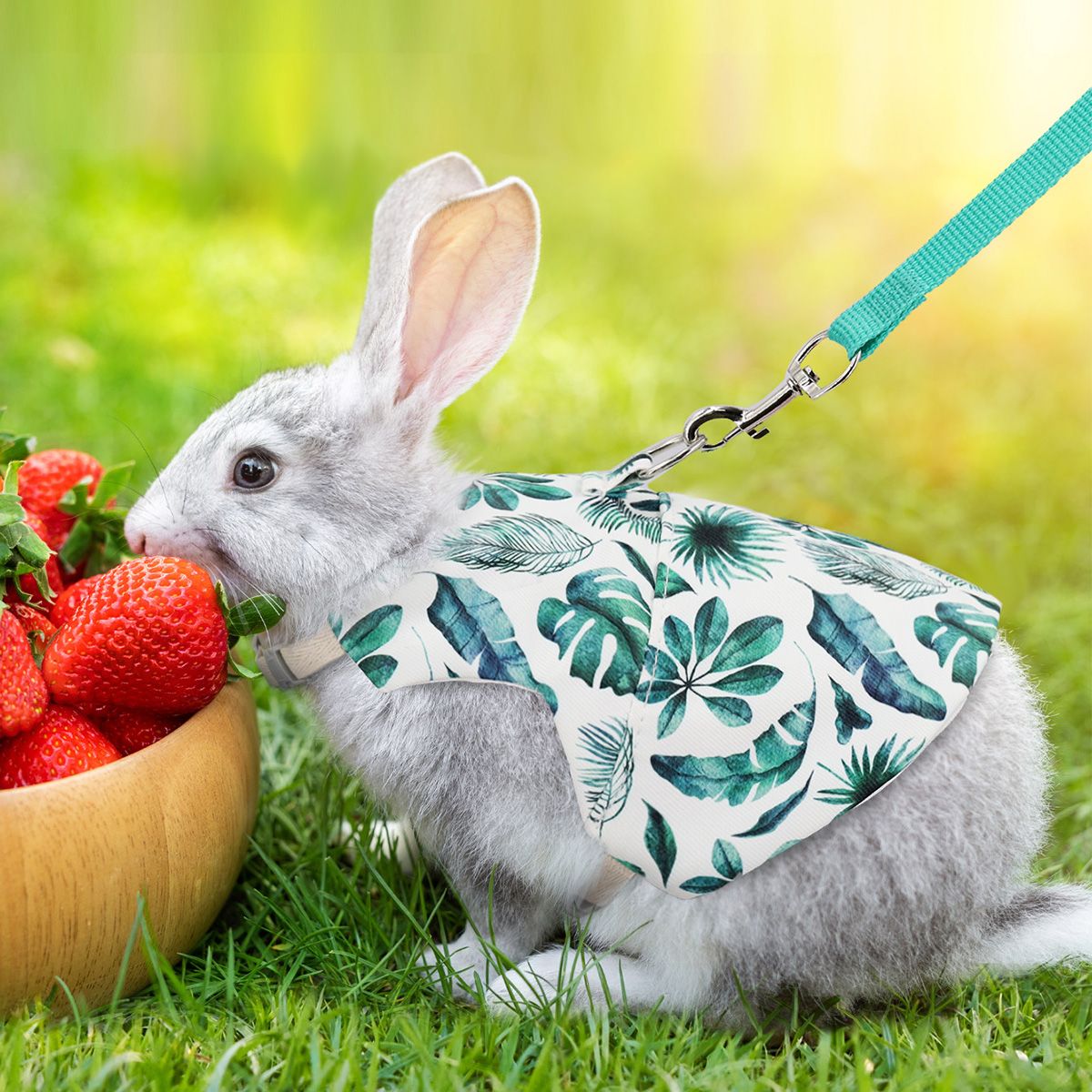 A Set of Stylish Printed Breathable Pet Rabbit Chest and Back for Outdoor Use