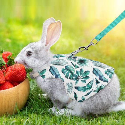 A Set of Stylish Printed Breathable Pet Rabbit Chest and Back for Outdoor Use