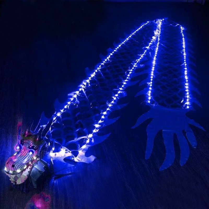 3Meters LED Glowing Dragon Poi With Dragon Head Chinese Dragon Dance Outdoor Fitness Juggling LED Dragon Stream Props