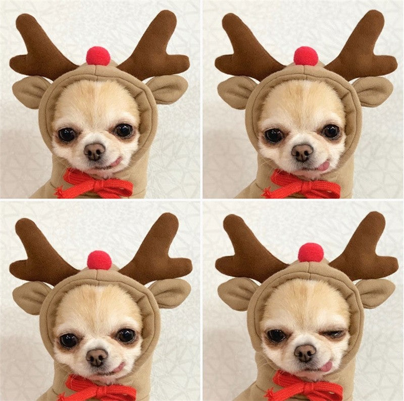 Roupas Pet Cosplay Moletom Para Cães Pequenos Casaco Jaqueta Fantasia Gatinho Chihuahua Yorkie