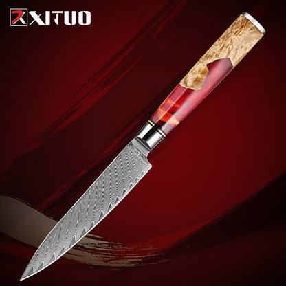 XITUO Conjunto de Facas de Cozinha de Aço Damasco de 1 a 9 Peças Inclui Faca do Chefe, Faca de Pão, Cutelo, Faca Santoku, Faca Nakiri para Desossar