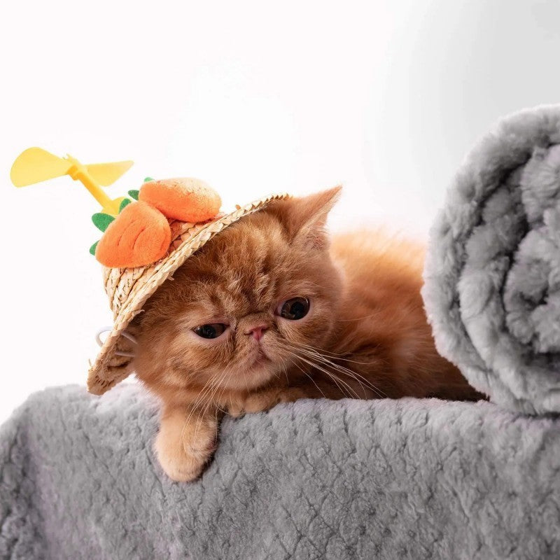 Cobertor macio para animais de estimação, manta de dormir de pelúcia para cães, cor sólida, lavável, almofada de sofá portátil, manta quente para gatos, tapete doméstico para o inverno
