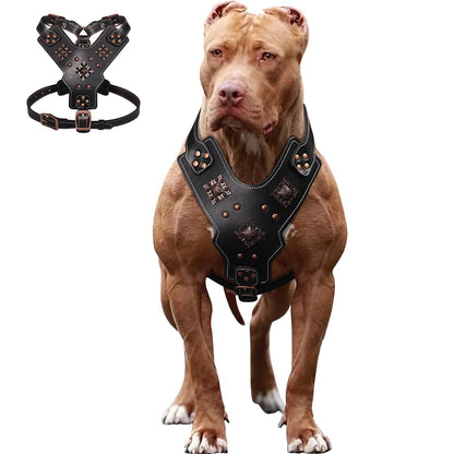 Coleira de Couro Genuíno para Cães, Arnês Durável para Cães Grandes, Coleiras Rebited para Treinamento de Animais de Estimação com Acessórios de Metal para Cães de Médio e Grande Porte