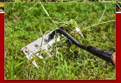 5/6/7/8 Teeth 1PCS Carbon Steel Garden Hand Rake for Farm Garden Weeding Tools Scarifier Agricultural Nail Harrow Metal Harrow