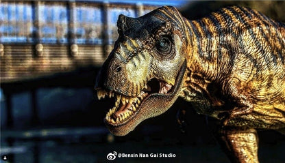 Tiranossauro Rex Eterno Rei Dinossauro Adulto e Infantil Modelo de Brinquedo Figura Enfeite de Mesa Coleção Presente de Festival Surpresa