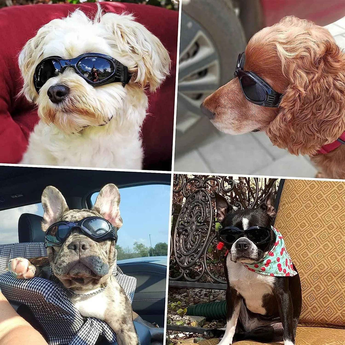 ATUBAN Capacete e Óculos de Sol para Cães Pequenos, Óculos de Proteção UV para Cães Médios, para Cães Dirigirem ao Ar Livre e Passearem