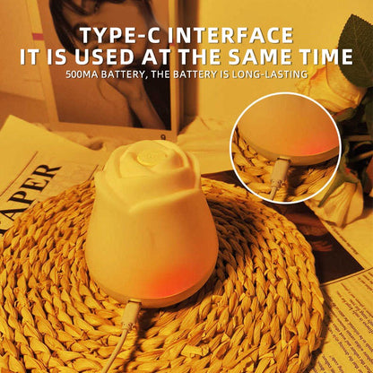 Night Lights for Bedroom Sleeping Lamp Rose Decor Light USB Charging Touch Led Lights For Christmas Gift House Decoration light