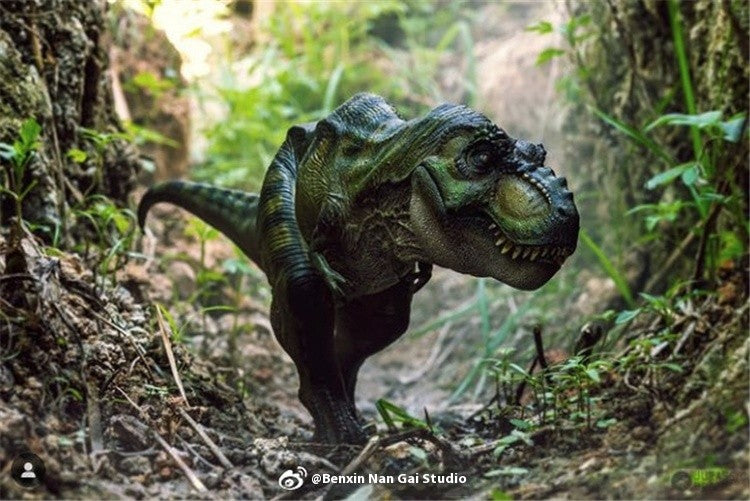 Tiranossauro Rex Eterno Rei Dinossauro Adulto e Infantil Modelo de Brinquedo Figura Enfeite de Mesa Coleção Presente de Festival Surpresa