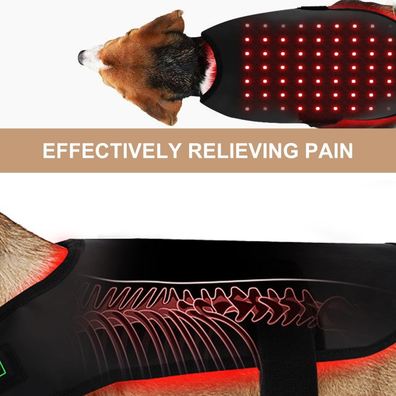 Equipamento de fisioterapia com LED de luz vermelha para uso veterinário, para alívio e redução da dor em cães de estimação.