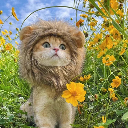 Chapéu de Gato Bonito Gorro de Leão Elástico de Outono Inverno Chapéu para Animais de Estimação Acessórios para Fotos de Gatinhos Decoração Acessórios para Gatos