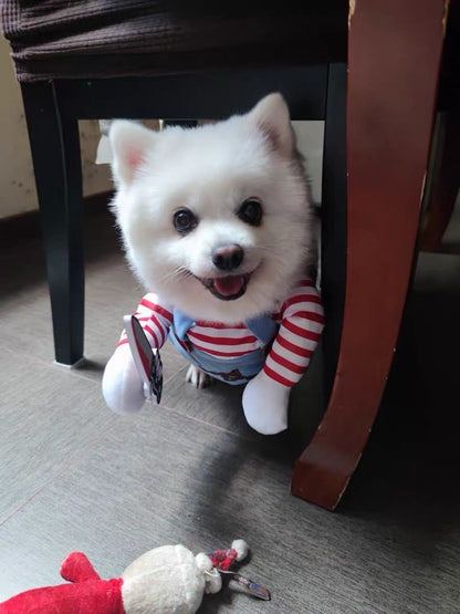 Fantasia de Halloween para Pets Vestido para Cães Pequenos e Médios – Roupa Divertida e Estilosa para Cães Gatos Brincarem com Roupas Engraçadas
