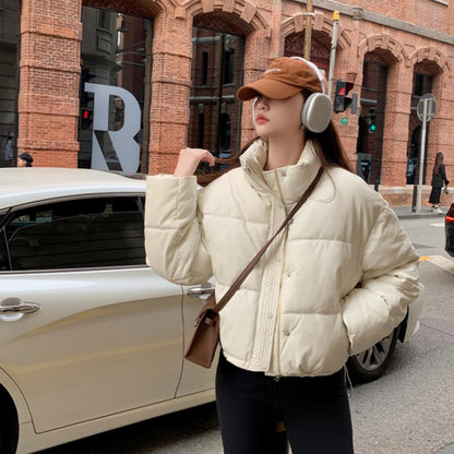 2025 New Autumn Winter Jackets Fashion Women Solid Long Sleeve Thick Pu Zipper Lapel Coats Casual Office Lady Korean Outerwear