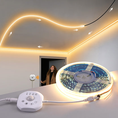 WS2811 Horse Race Chase LED Strip Light Motion Sensor Fairy Night Lamp For Bedroom Room Ceiling Christmas Decoration Lighting