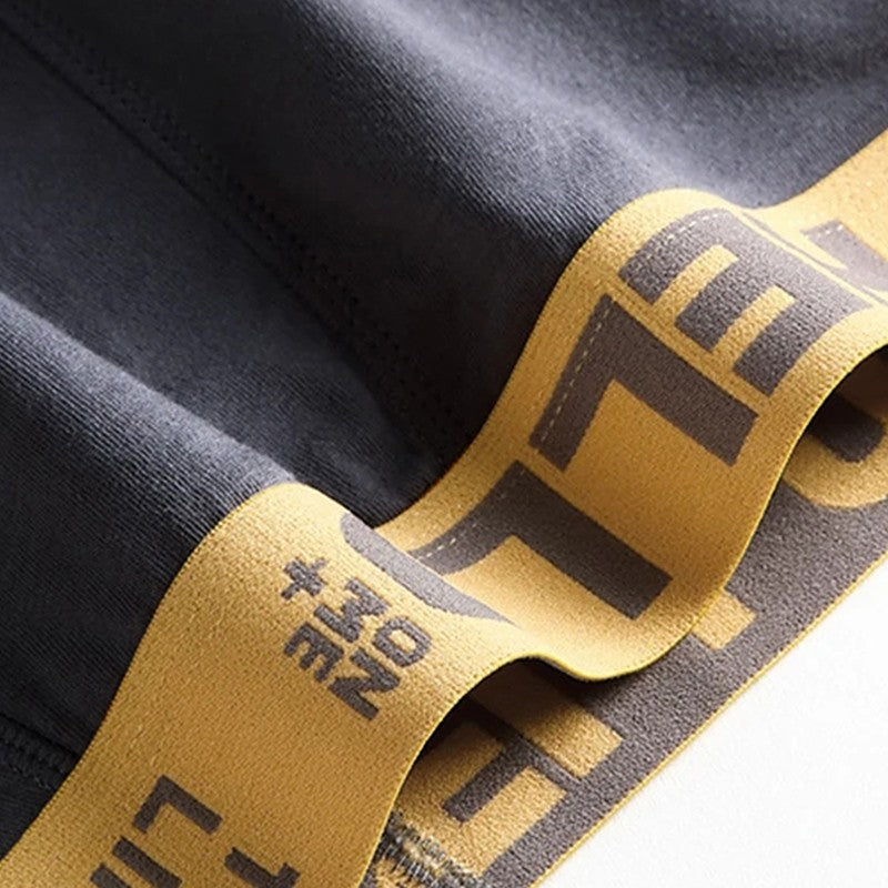 Random 5Pcs/set Men's Briefs Sexy Letter Waist Underwear Casual Comfortable Breathable Briefs Solid Color Underpants Men Panties