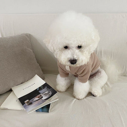 Roupas Finas para Cães, Moletom Sólido para Animais de Estimação, Moletons para Cães, Moda para Gatos Filhotes, Camisetas, Roupas de Chihuahua, Colete Yorkie Bichon, Camisa de Fantasia para Cães