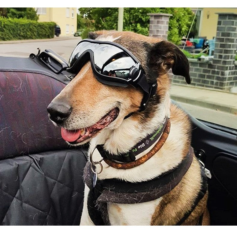 Óculos transparentes para cães de estimação à prova d'água, à prova de vento, protetor solar, resistente a raios UV para cães grandes