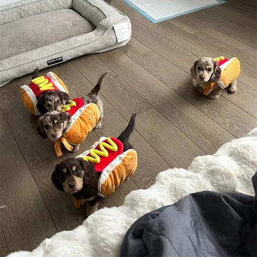 Fantasia Divertida de Cachorro de Halloween em Formato de Cachorro-Quente para Dachshund Salsicha Roupa Ajustável de Estimação Acessório para Vestir Gato Fantasia de Festa