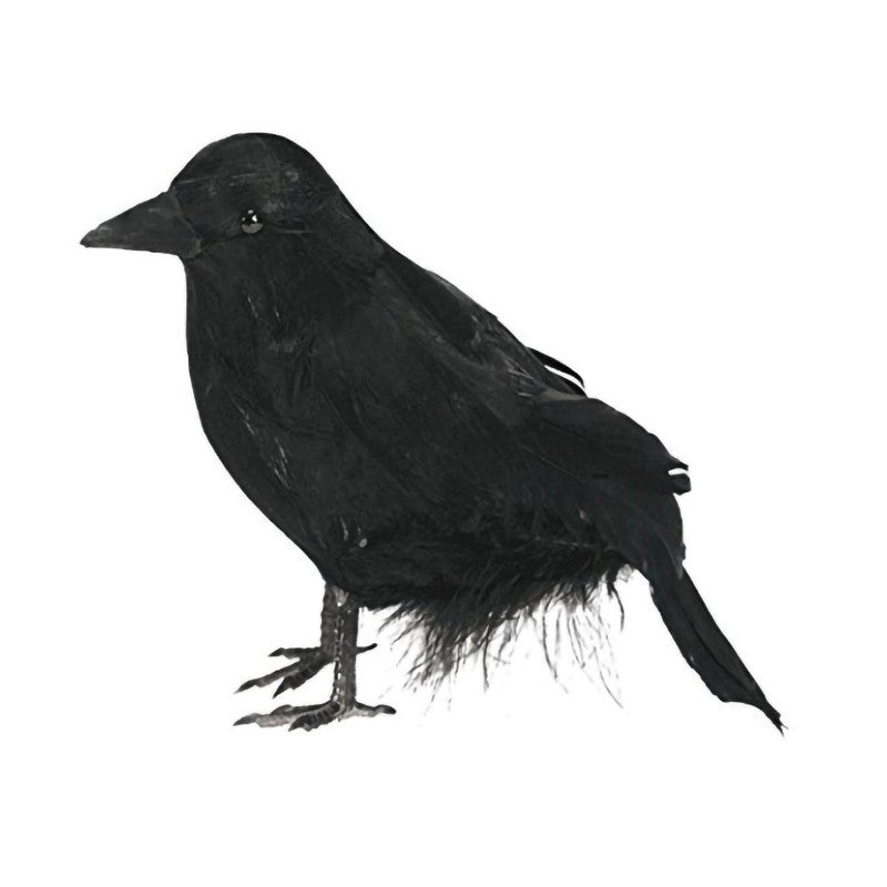 3/4/6Pcs Simulation Black Crow Animal Model Artificial Crow Black Bird Raven Home Decoration Party Prop Garden Decor 20x9x6cm