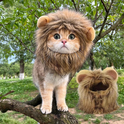 Chapéu de Gato Bonito Gorro de Leão Elástico de Outono Inverno Chapéu para Animais de Estimação Acessórios para Fotos de Gatinhos Decoração Acessórios para Gatos