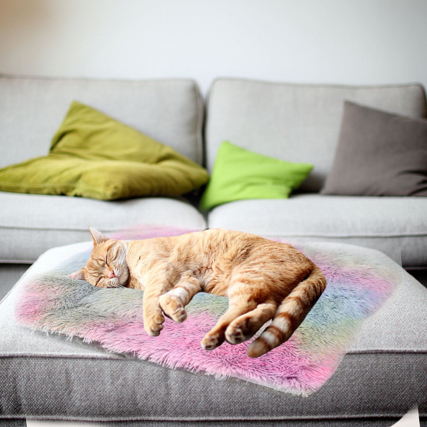 Cama para Gatos Produtos para Animais de Estimação Almofadas Artigos para Gatinhos Acessórios Cães Todas as Casas Suprimentos Coisas Acessório Habitats Cesta Casa Camas