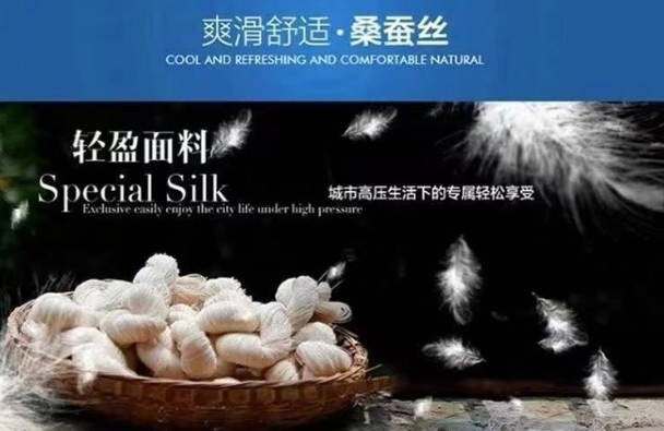 High End  Mulberry Silk Men Business Shirt Long Sleeve  Button Invisible Elastic Tops Wrinkle Resistant  Luxurious Men Shirt