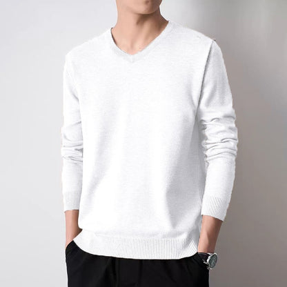 Animal Game Autumn Men's V Neck Pullover Sweaters Solid Color Casual Sweater Long Sleeve Men's Basic Underwear Trend Outerwear