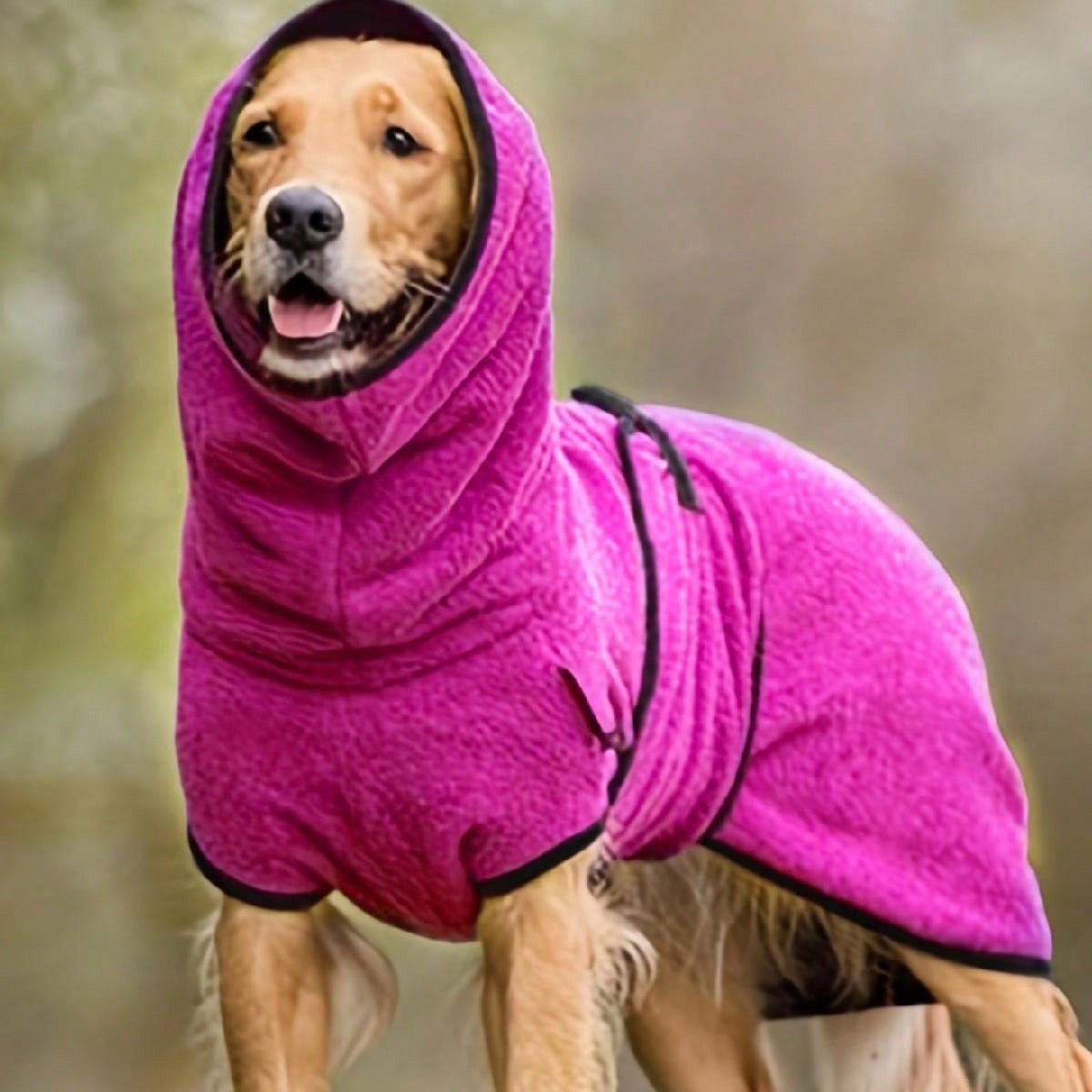 Casaco de Inverno para Cães, Genérico, para Whippet, Galgo, Jumper Aconchegante de Lã, Casaco e Roupa para Lurcher com Forro Quente, Faixa Ajustável M