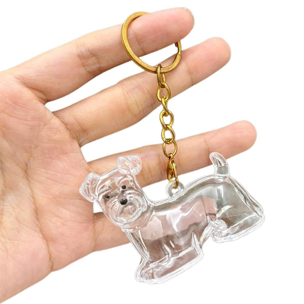 Dog Hair Collection Pendant Hair Storage Box Charm Pet Cute Keychains Clear Plastic Pet Hair Capsule Souvenirs DIY Gifts