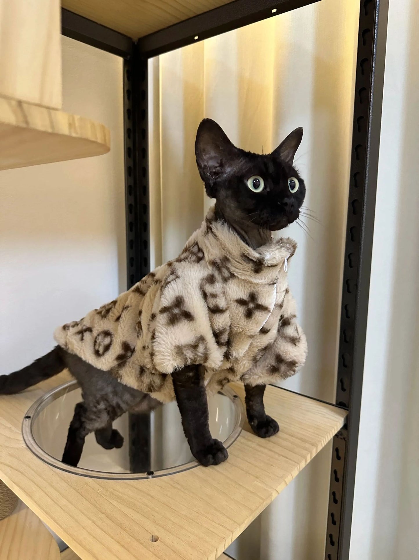Dog winter High-end coat pet protection against cold sweater small cat aristocratic jacket High-end design sense Teddy cute coat