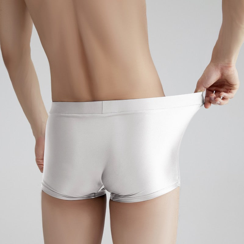 AMORESY Men's Satin Glossy Boxer Shorts Breathable High Elastic Sports Thin Soft Brief Swimming Fitness Solid Leggings Underwear