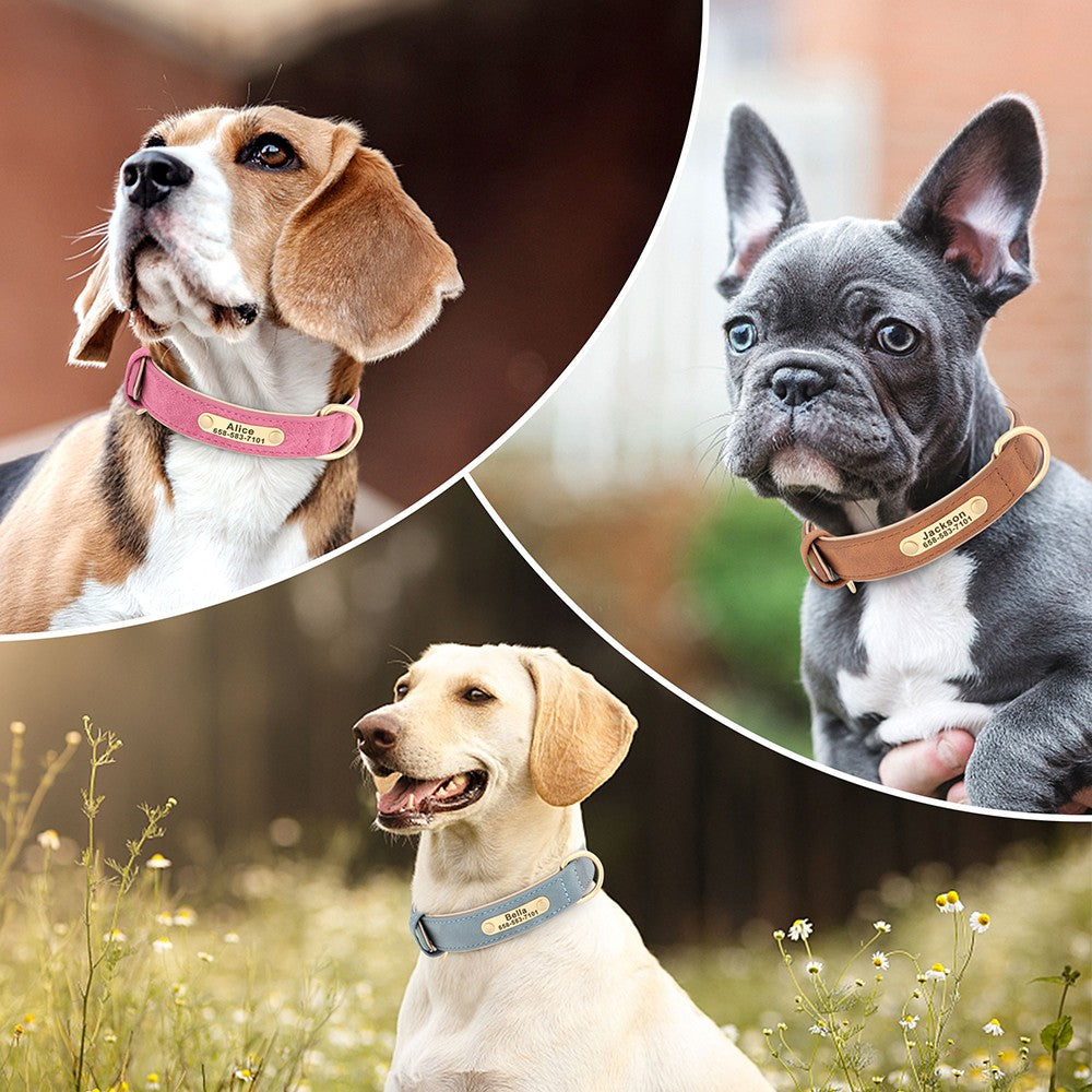 Coleira de Cachorro Personalizada com Gravação Grátis em Couro PU para Cães Pequenos, Médios e Grandes