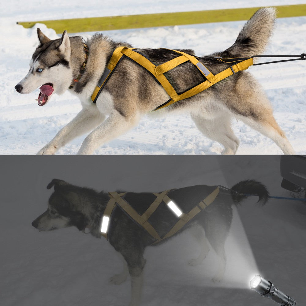 Coleira Peitoral Impermeável para Cães de Trenó, Coleira Peitoral Refletiva para Skijoring, Colete de Puxar Peso para Cães Grandes para Treinamento de Animais de Estimação