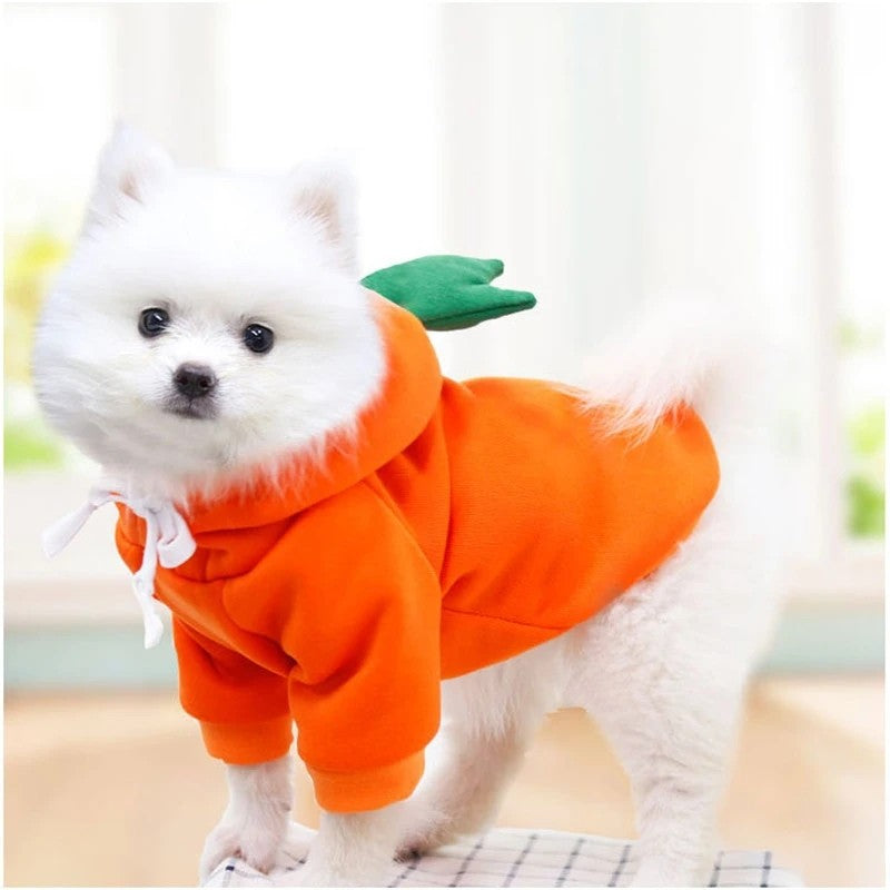 Roupas de cachorro fofas de frutas para cães pequenos, moletons de lã quente para animais de estimação, fantasia de filhote de gato, casaco para terno de jaqueta de chihuahua francês