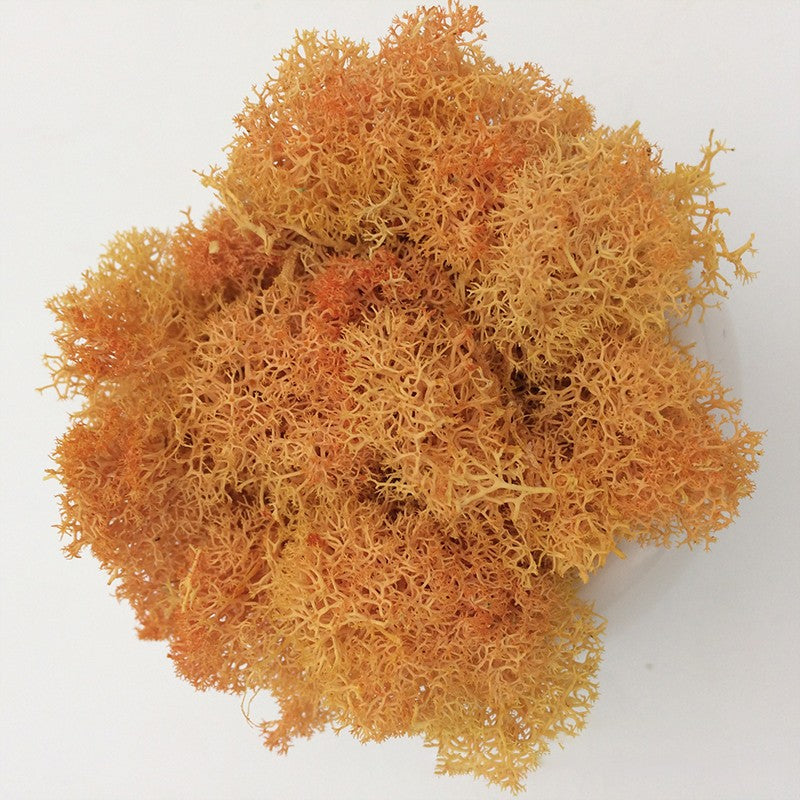 200/1000g Quality Artificial Green Plant Eternal Life Moss Fake Flower Moss Grass Home Living Decorative Wall DIY Micro Landscap